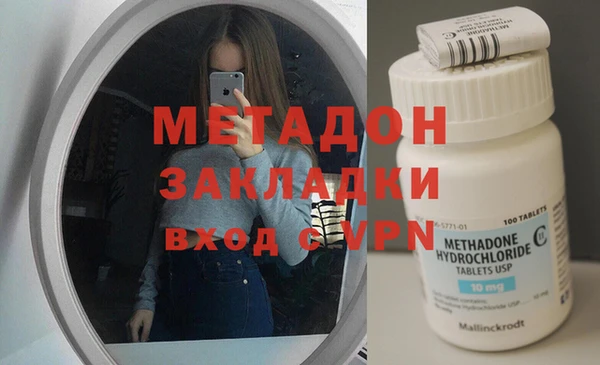 прущие грибы Абаза