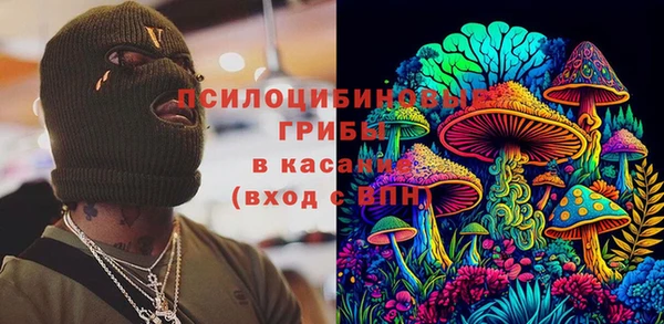 прущие грибы Абаза
