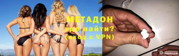 прущие грибы Абаза