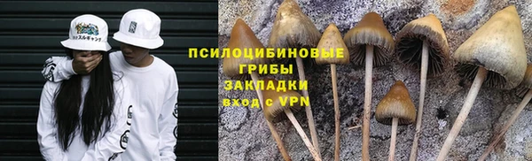ешки Алзамай
