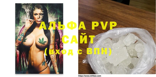 прущие грибы Абаза