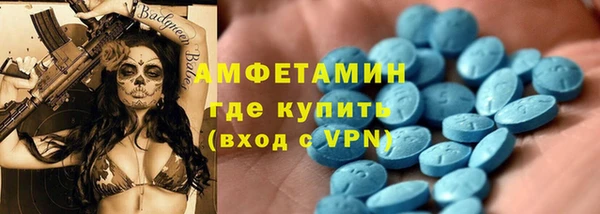 прущие грибы Абаза